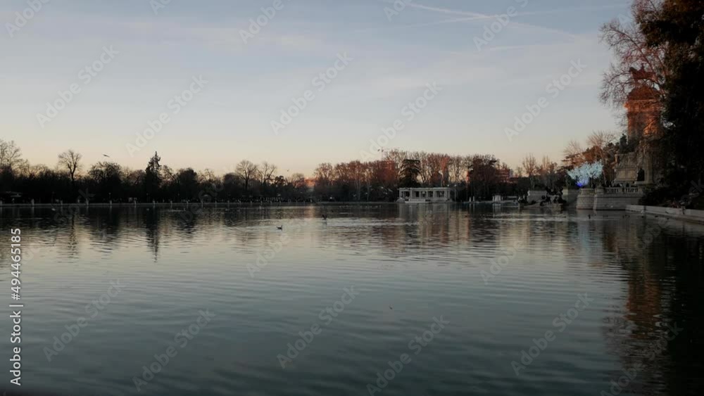 Beautiful sunset at the big pond in Retiro Park, Madrid. Clear sky with golden light over the trees behind the water. Alfonso XII monument to one side. Many seagull flying around and fishing. Beautiful sunset at the big pond in Retiro Park, Madrid. Clear sky with golden light over the trees behind the water. Alfonso XII monument to one side. Many seagull flying around and fishing.