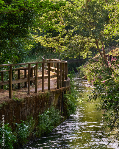 Closeup of a walkway in a forest in Oliveira de Azemeis, Aveiro photo