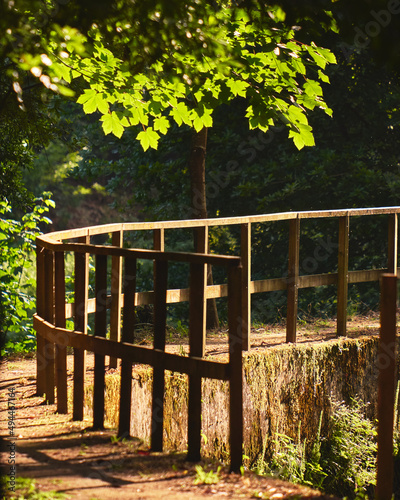 Closeup of a walkway in a forest in Oliveira de Azemeis, Aveiro photo