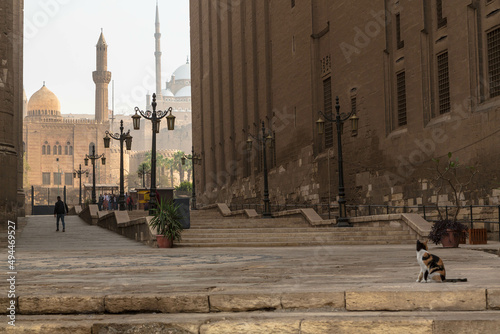 Cairo, Egypt - January 2022: A cat and a solitary figure between Sultan Hassan Mosque and Al-Rifai Mosque 