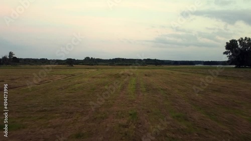 Perfect aerial flight sloly fly forwards drone shot over farmland fallow summer morningin nature reserve Müritz Seen Mecklenburg Brandenburg Germany Aerial view. Cinematic nature photo