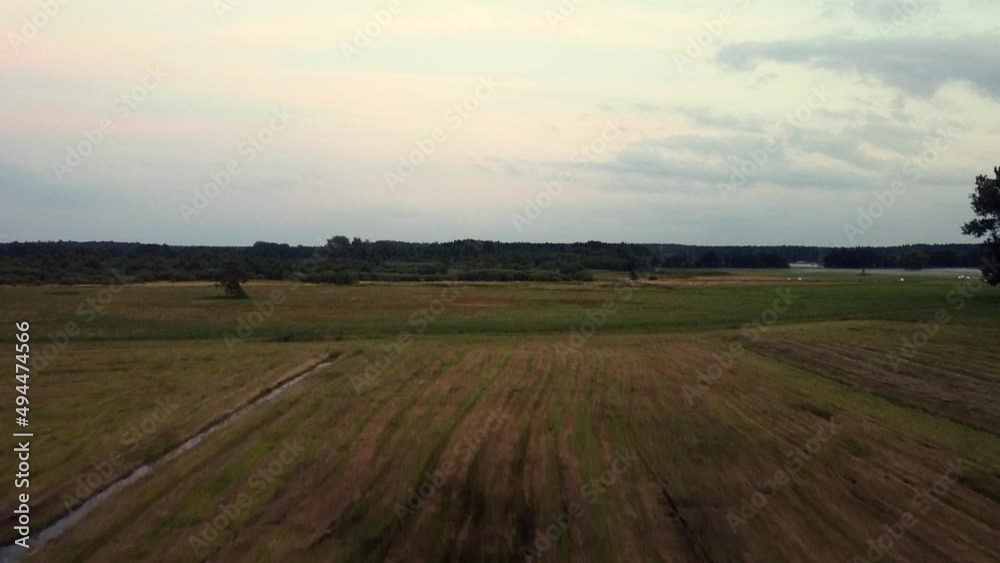 Great aerial flight fly forwards drone shot at sunset dusk over cornfieldin nature reserve Müritz Seen Park Mecklenburg Brandenburg Germany Aerial drone view. Cinematic nature Great aerial flight fly forwards drone shot at sunset dusk over cornfieldin nature reserve Müritz Seen Park Mecklenburg Brandenburg Germany Aerial drone view. Cinematic nature