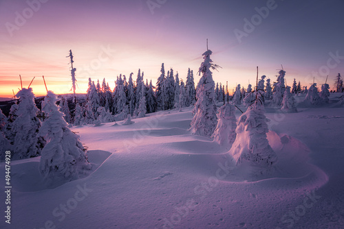 Photo of a colored winter morning on the border of Germany photo