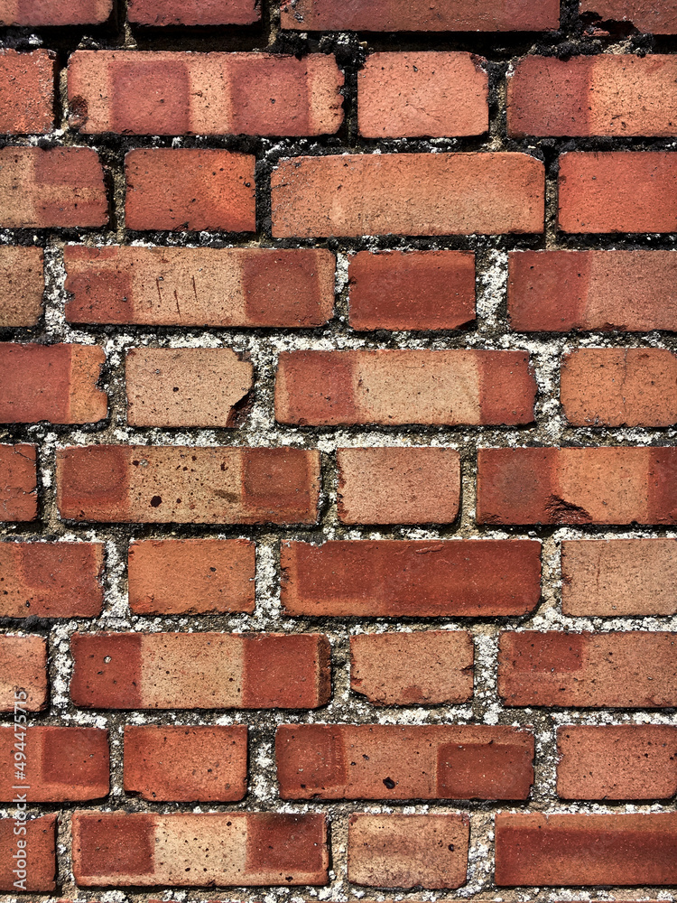 Obraz premium Red brick wall