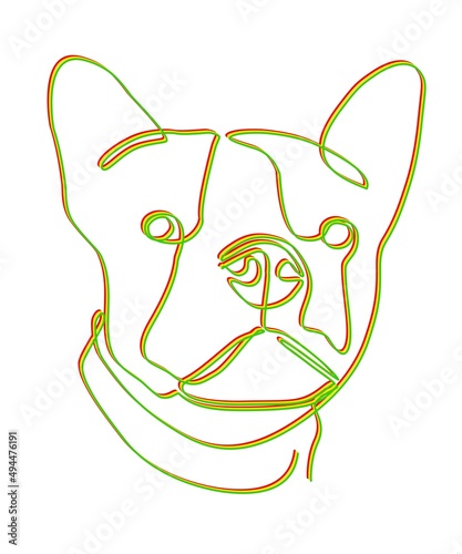 head of a dog