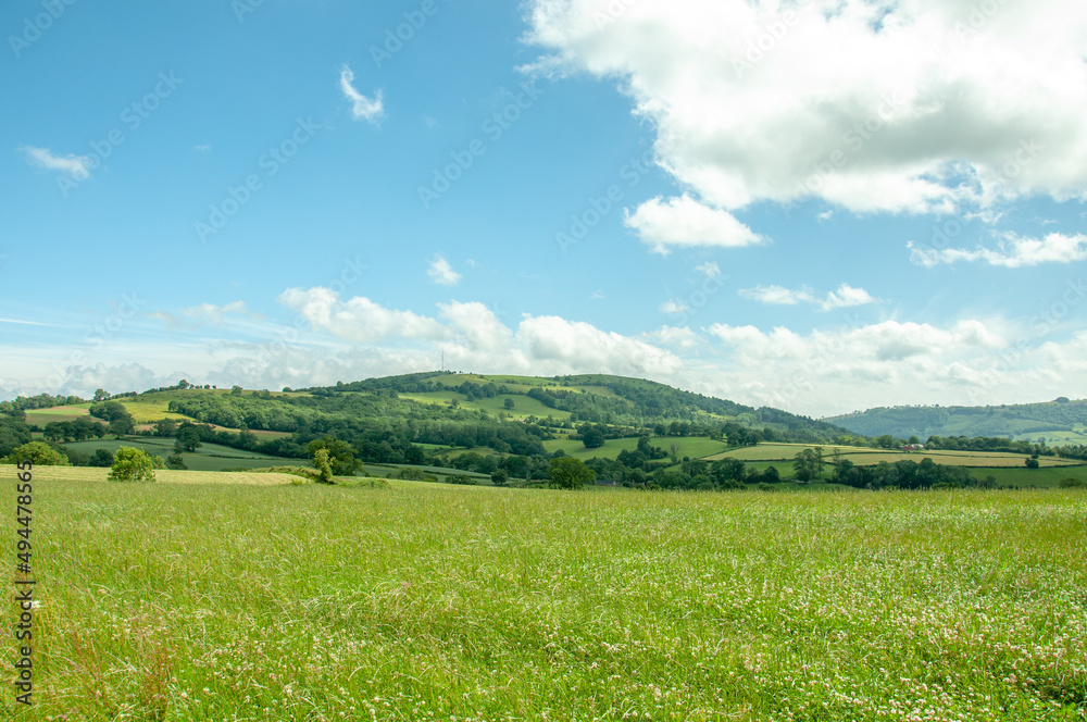 Summertime landscape in the UK.