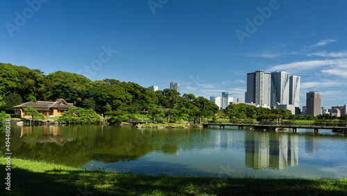 Tokyo's cityscape from Hamarikyu Park in the business district of the city.