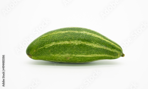 pointed gourd or potol on white background photo