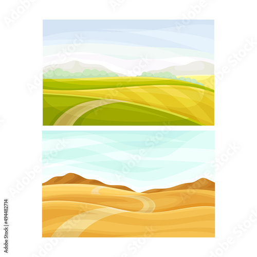 Autumn and summer rural landscape. Yellow and green fields and road vector illustration