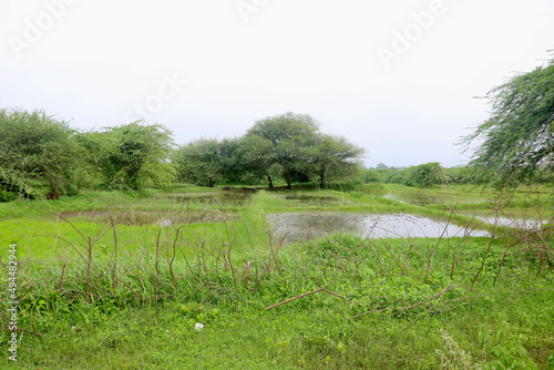 Landscape view of nature green farm with lake