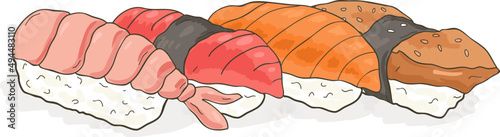 Nigiri Sushi Set Hand Drawn Illustration