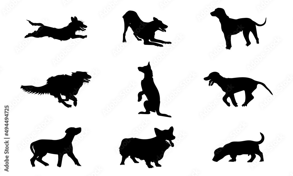 Obraz premium Collection of vector silhouette different breeds of dogs on white background.
