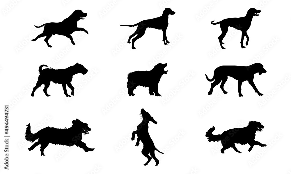 Collection of vector silhouette different breeds of dogs on white background.