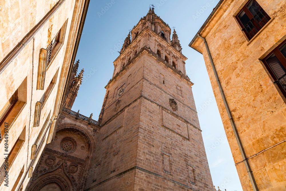 The New Cathedral of Salamanca, Spain