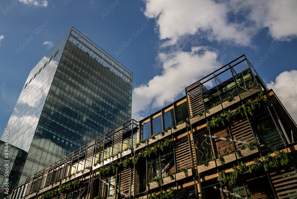 Fototapeta premium Urban Jungle