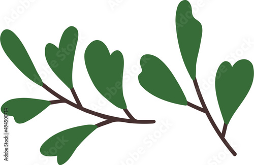 Twigs with Green Leaves Colored Illustration