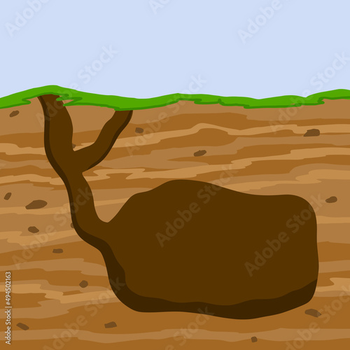Animal hole and burrow. Scheme of hiding insects and rodents, mice in ground. Tunnels in ground. Underground background. Flat design
