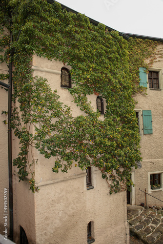Shot of od anicent building covered with ivy photo