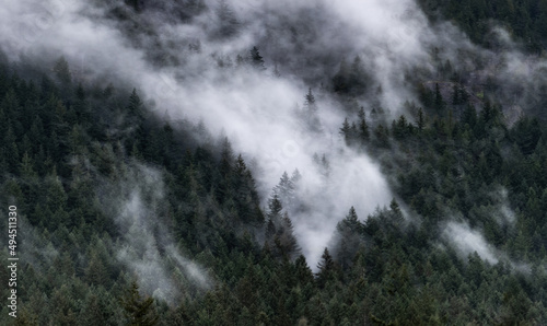 foggy mountains 