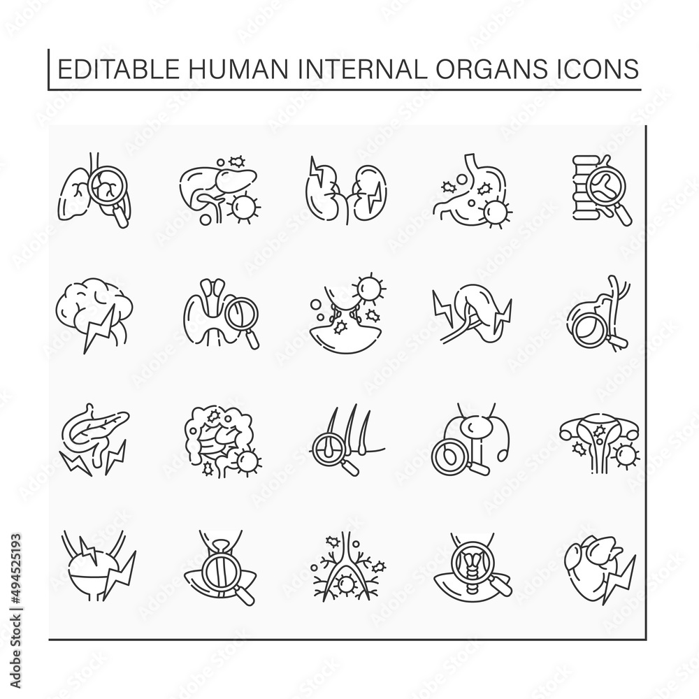 Human internal organs line icons set. Health problems diagnostic. Prevention of diseases. Medical treatment.Health concept.Isolated vector illustration.Editable stroke