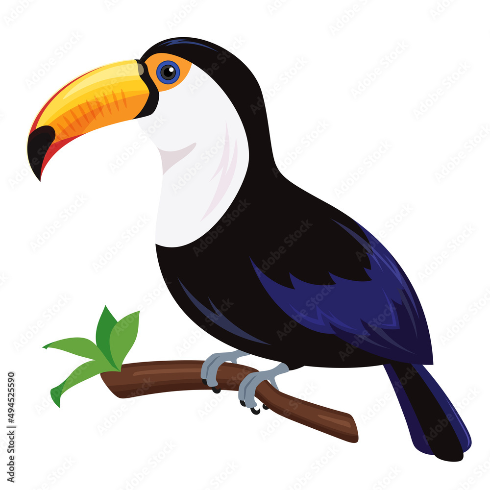 オニオオハシのイラスト Stock Vector Adobe Stock