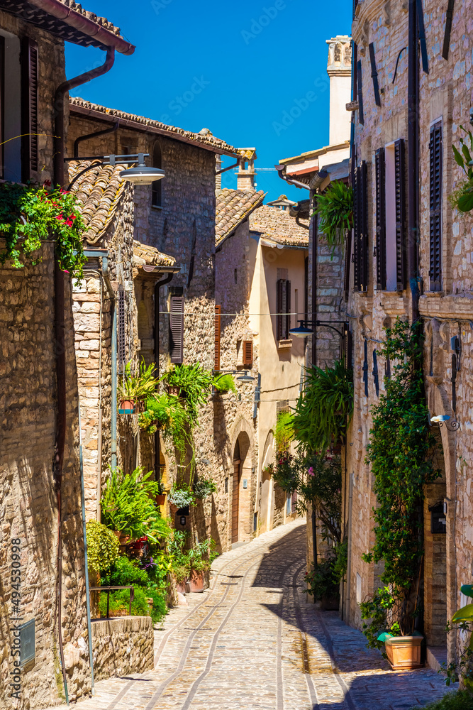 Fototapeta premium Beautiful medieval street with flowers and plants in the historic center of Spello, Umbria Italy