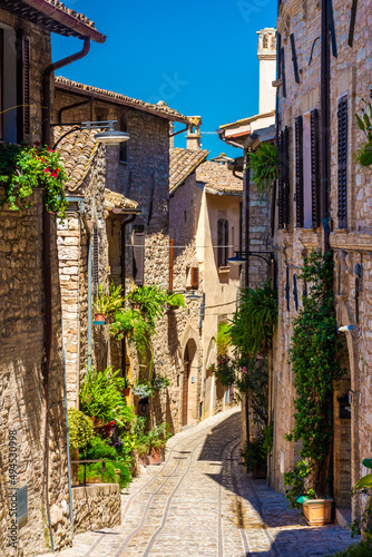 Fototapeta Naklejka Na Ścianę i Meble -  Beautiful medieval street with flowers and plants in the historic center of Spello, Umbria Italy