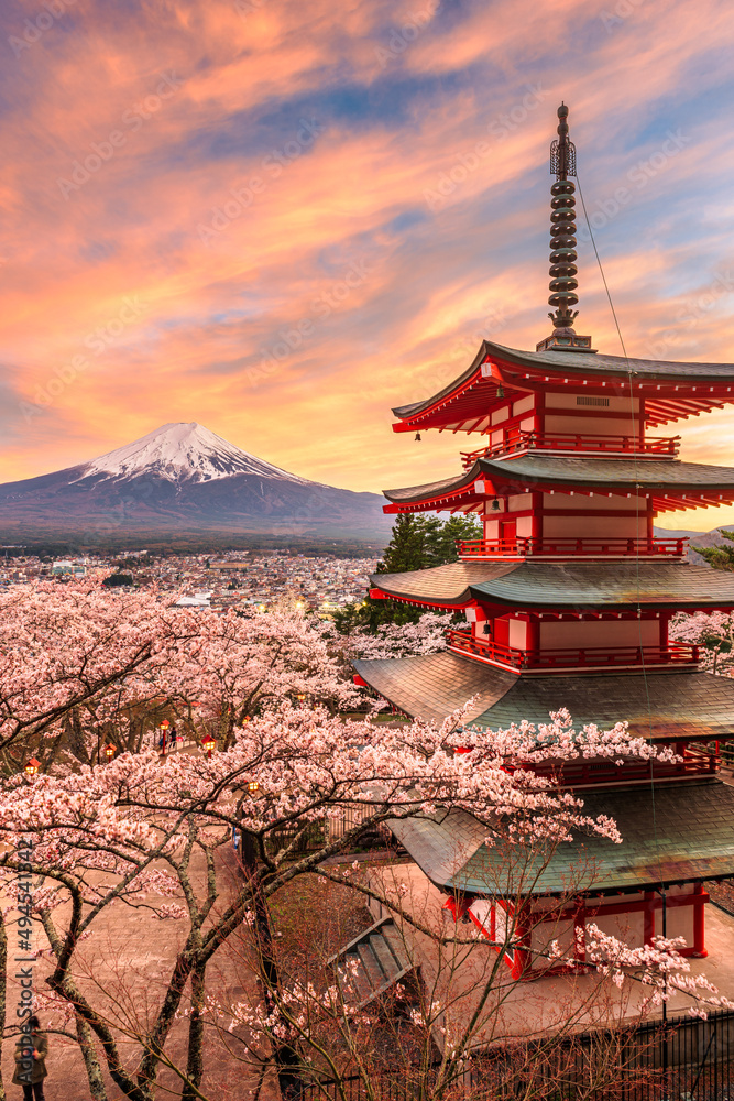 Mt. Fuji and Peace Pagoda in Spring Season
