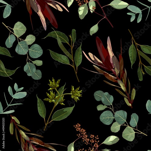 Seamless pattern with Eucalyptus Silver Dollar, leucadendron on a black background. Illustration of greenery, foliage and natural leaves. Template for floral textile design.