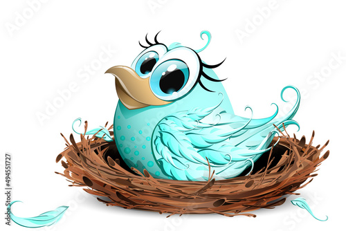 Bird in the nest