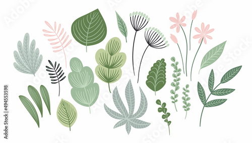 Vector set of abstract leaves, flowers and grass. Clipart, isolated elements.