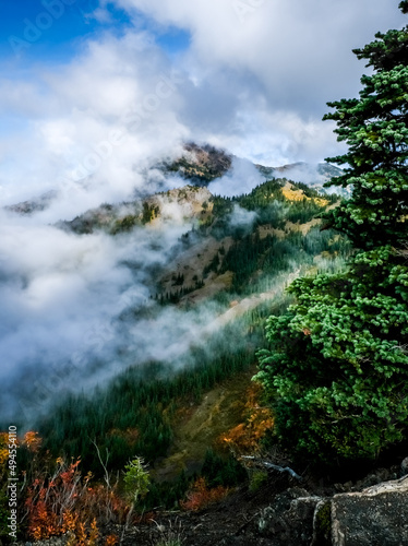 Hurricane Ridge, olympic national park, clouds, trees, mountain top, sky, cloud shrouded 