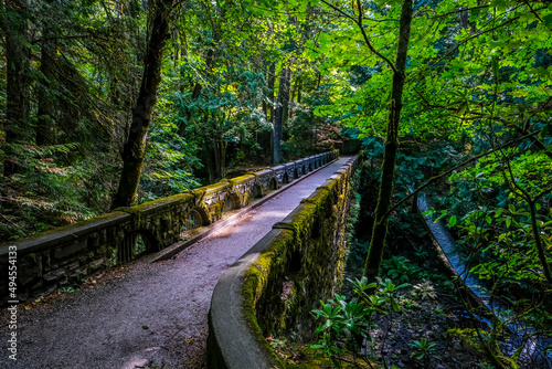 Lake Whatcom, stone bridge, waterfall, woods, forest, nature, moss covered bridge,