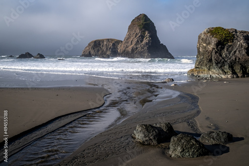 Whales Head Beach, Oregon, ocean, sand, beach, landscape