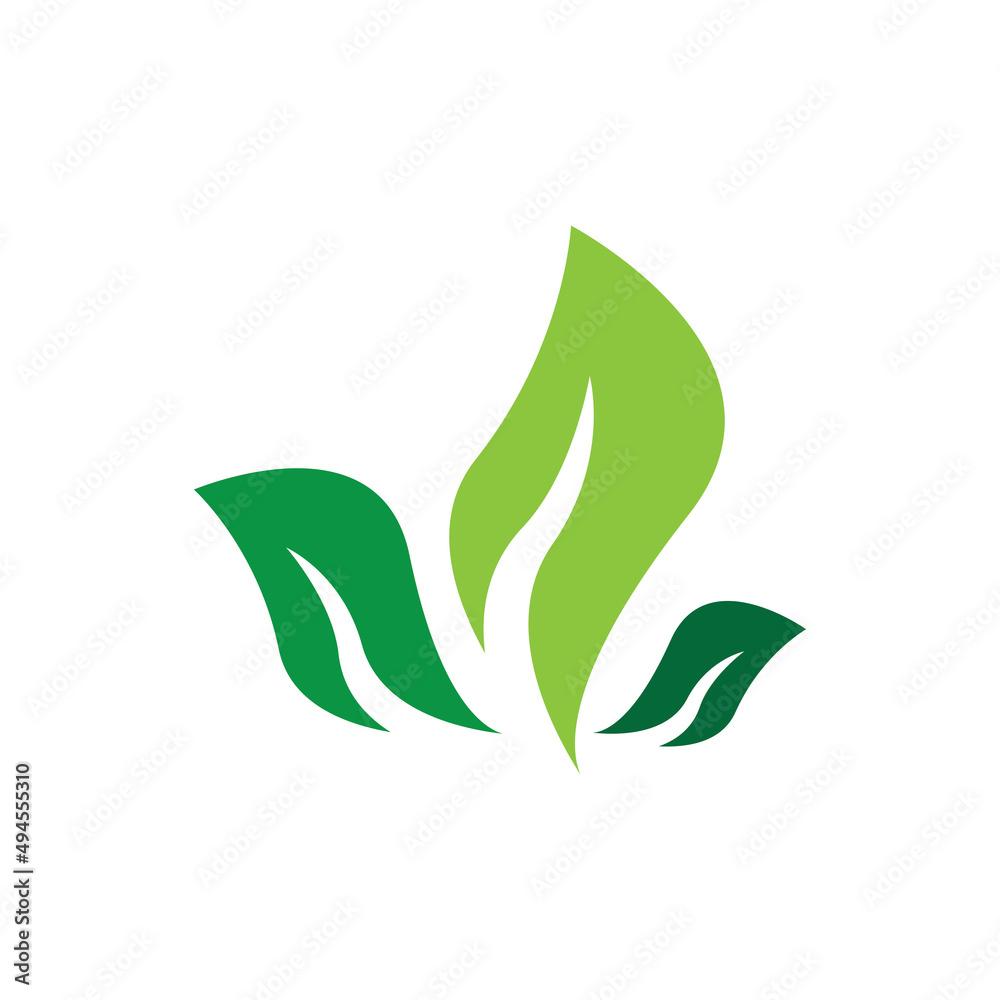 leaf logo vector template ilustration and icon design