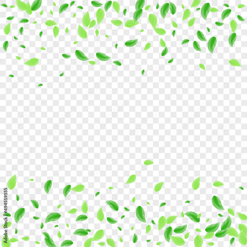 Green Greenery Background Transparent Vector. Sheet Decor Texture. Wind Illustration. Light Green Isolated Card. Plant Beauty. Green Greenery Background Transparent Vector. Sheet Decor Texture. Wind Illustration. Light Green Isolated Card. Plant Beauty.