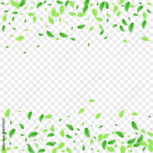 Green Greenery Background Transparent Vector. Sheet Decor Texture. Wind Illustration. Light Green Isolated Card. Plant Beauty.