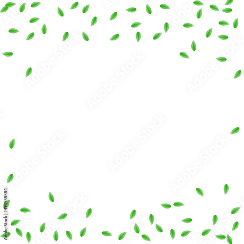 Greenish Sheet Background White Vector. Leaf Process Design. Environment Texture. Green Line Frame. Foliage Flora.