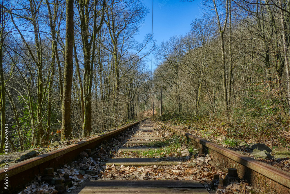 Straßenbahn-Strecke im Wald im Kaltenbachtal Straßenbahn-Strecke im Wald im Kaltenbachtal