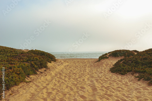 beach in the morning
