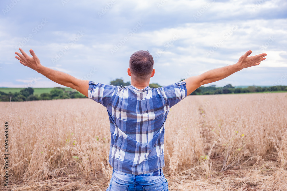 Amazing view with man standing with his back to the camera with open arms thanking for the wheat harvest. The farmer checks the natural organic crop Amazing view with man standing with his back to the camera with open arms thanking for the wheat harvest. The farmer checks the natural organic crop
