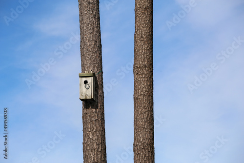 Canvas Print Lonely home