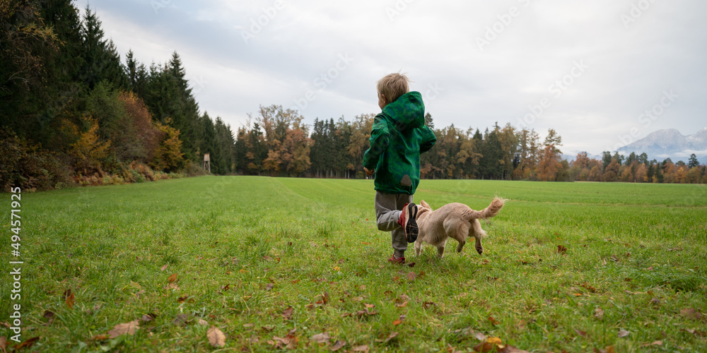 Toddler boy and his dog running in the meadow Toddler boy and his dog running in the meadow
