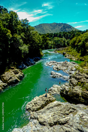 Fototapeta Naklejka Na Ścianę i Meble -  Pelorus Brigde River - New Zealand