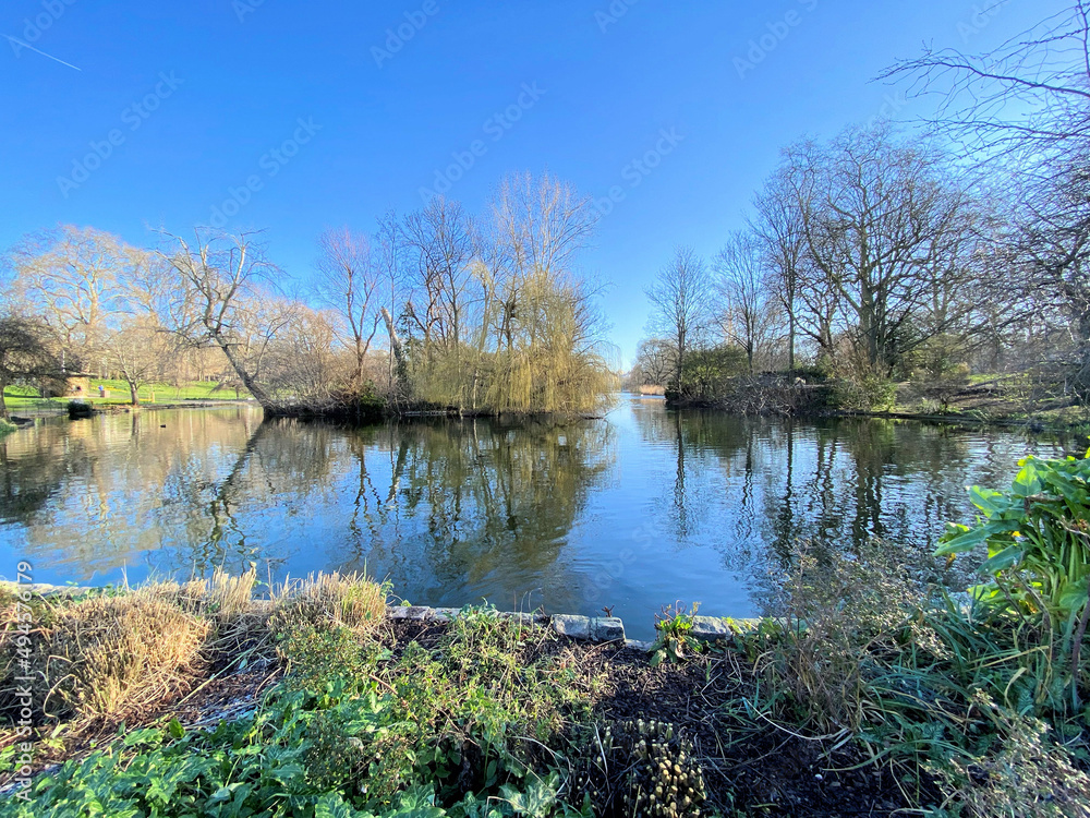 Fototapeta premium lake in the park
