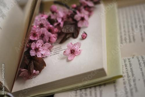 Open book with fresh blooming twig on pages spring cherry tree romantic pink flowers