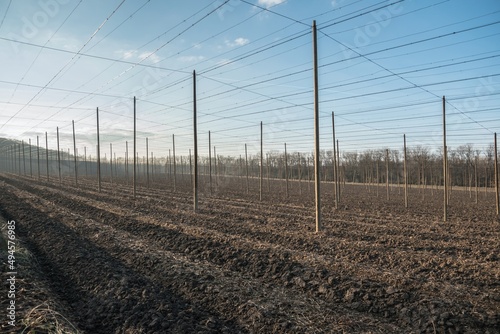 Hop field with high construction