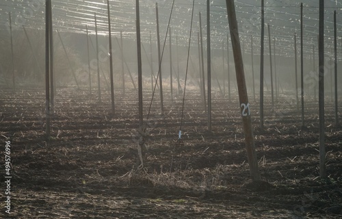 Hop field with high construction