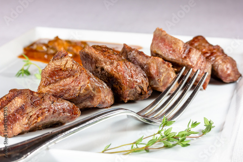 Beef kebab with tomato sauce with vegetables is on a plate