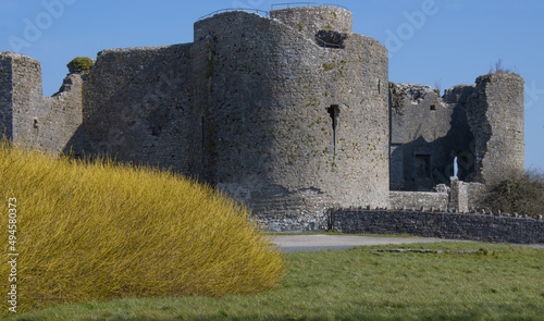 Fotografia roscommon castle, ireland